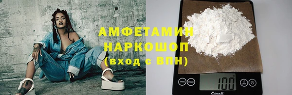 хмурый Алексин