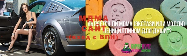 хмурый Алексин