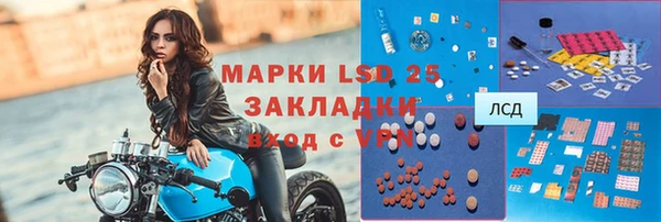 хмурый Алексин