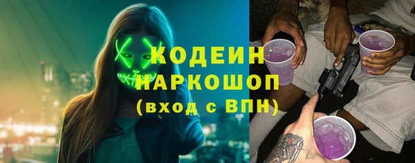 хмурый Алексин
