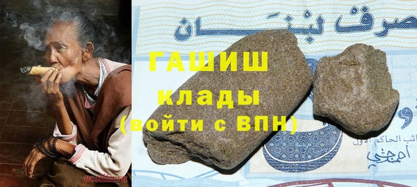 хмурый Алексин