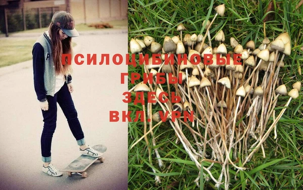 гашиш Алзамай