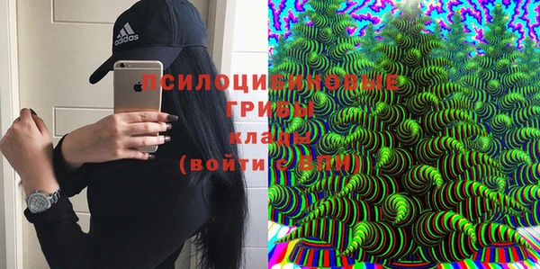 2c-b Алексеевка