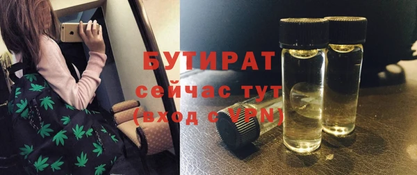 хмурый Алексин