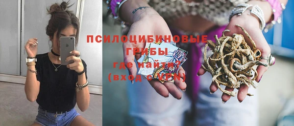 хмурый Алексин
